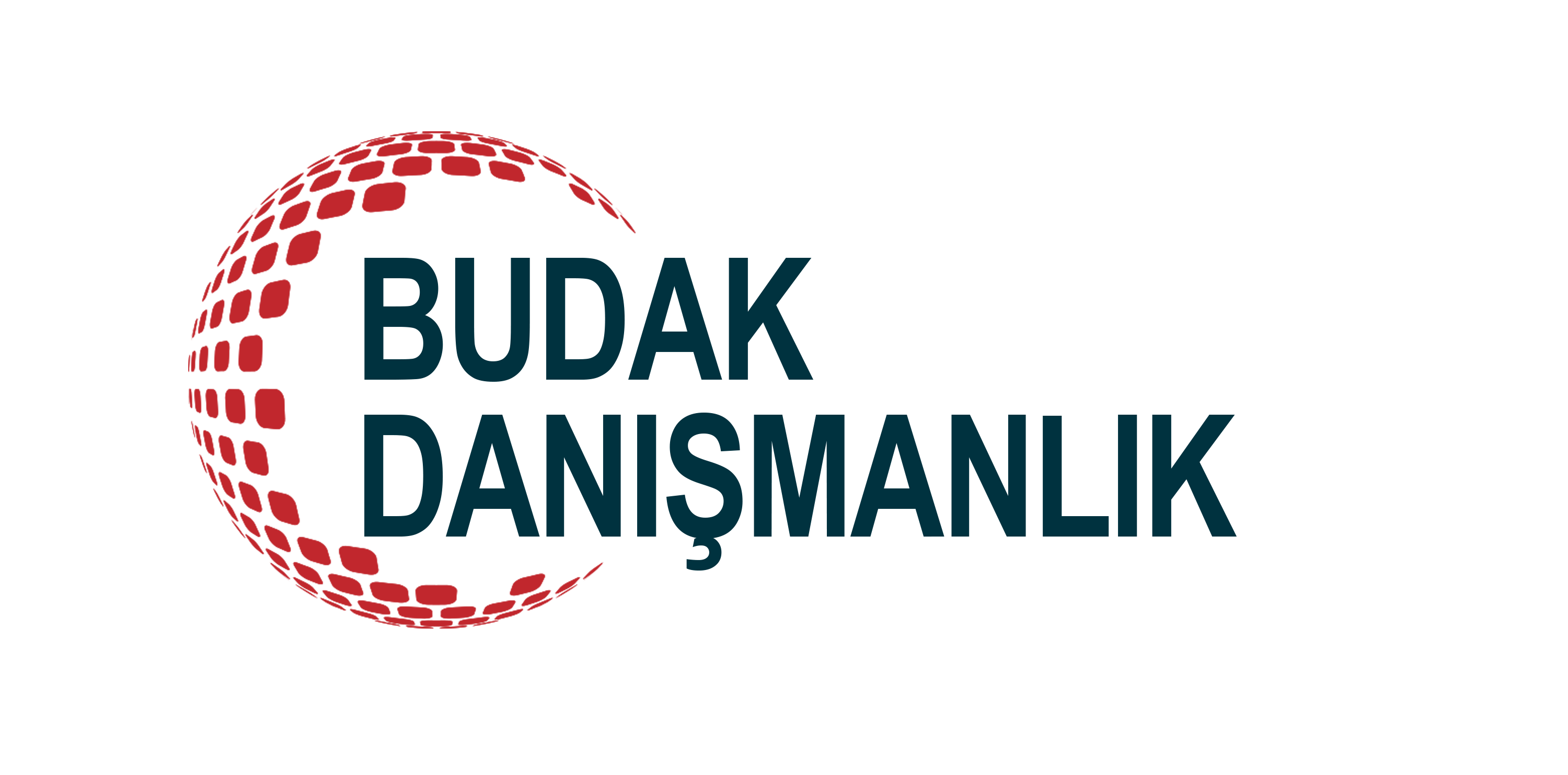 budakdanismanlik budakdanismanlik